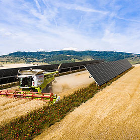 BayWa_r.e._Interspace_Agri-PV_Website.jpg